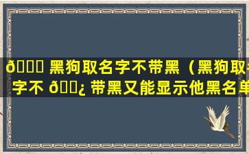 🐝 黑狗取名字不带黑（黑狗取名字不 🌿 带黑又能显示他黑名单吗）